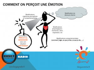 schema 1 perception emotion