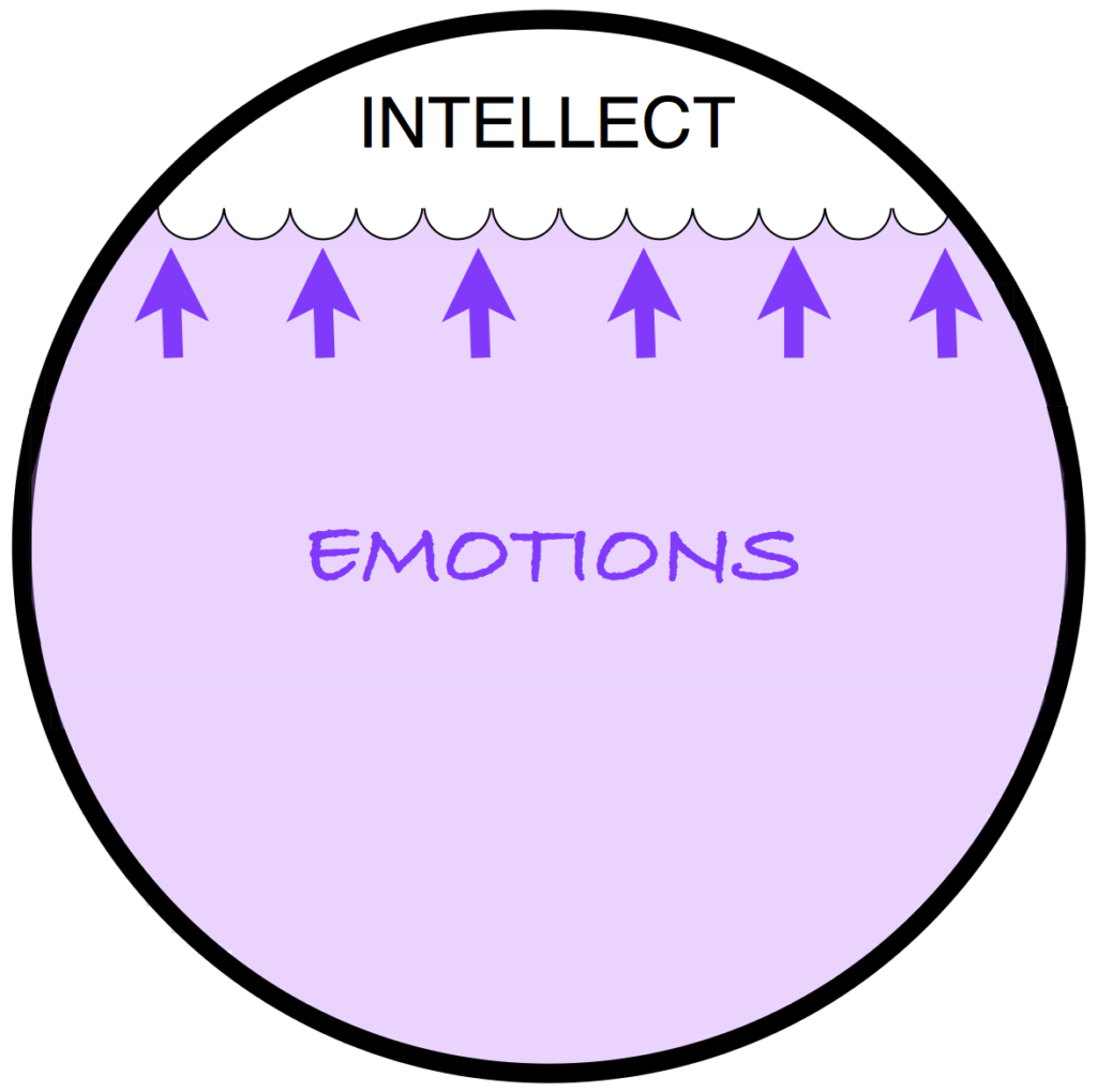 pour comprendre comment marche l'écoute active, voici l'image du ballon émotionnel en déséquilibre : les émotions prennent presque toute la place et l'intellect est réduit
