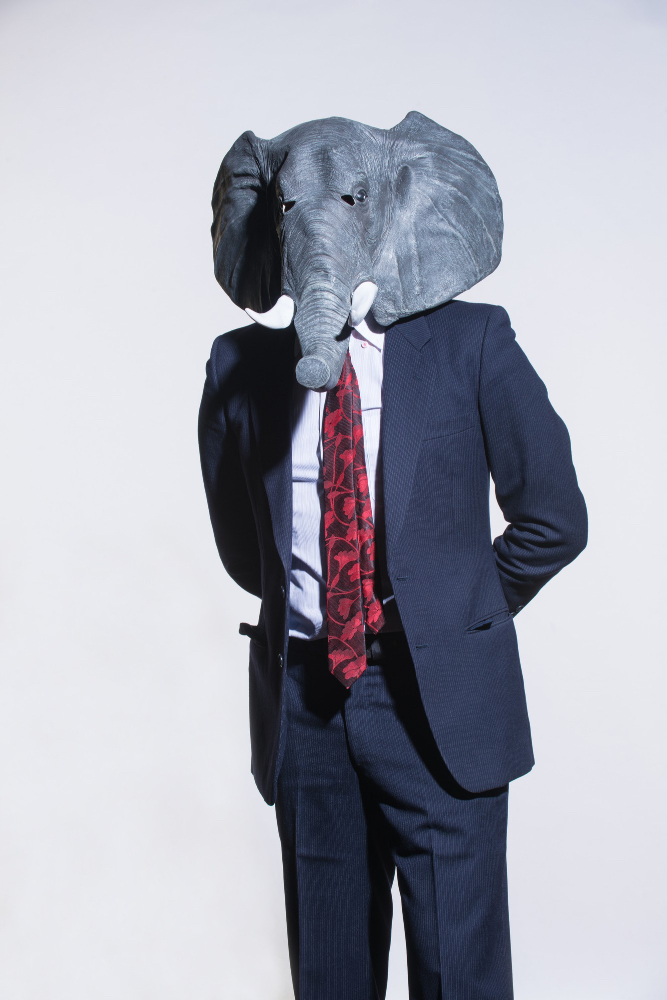 éléphant déguisé en homme pour illustrer l'image de l'éléphant - = le problème - que Elodie essaie de cacher pour gérer son anxiété